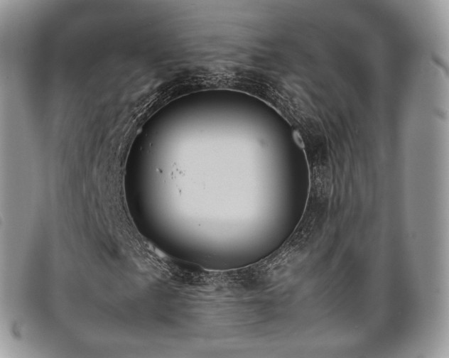 X0000098041057200804071435
