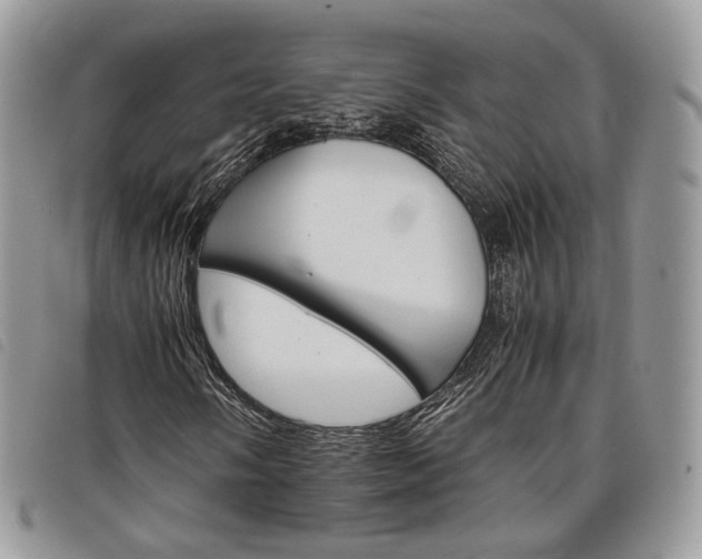 X0000098041058200804071435
