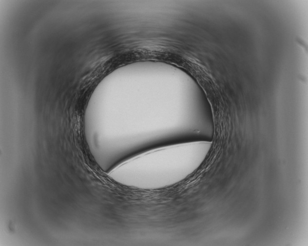 X0000098041061200804071435