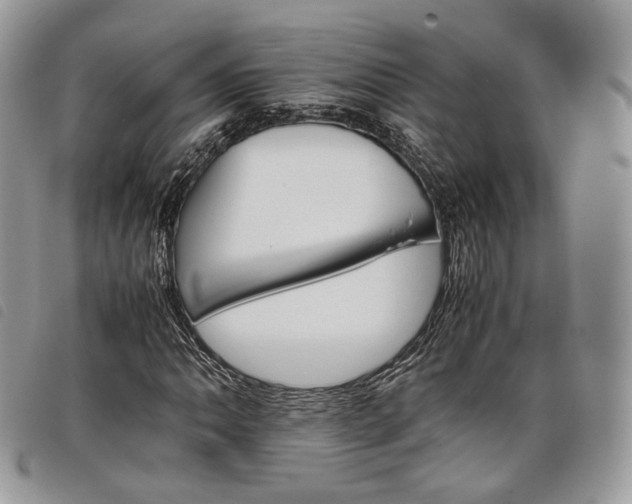 X0000098041062200804071435