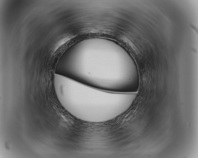 X0000098041064200804071435