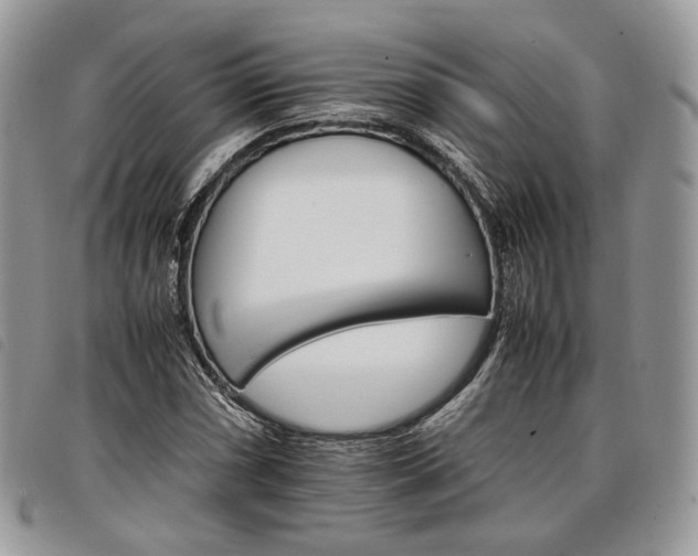 X0000098041066200804071435