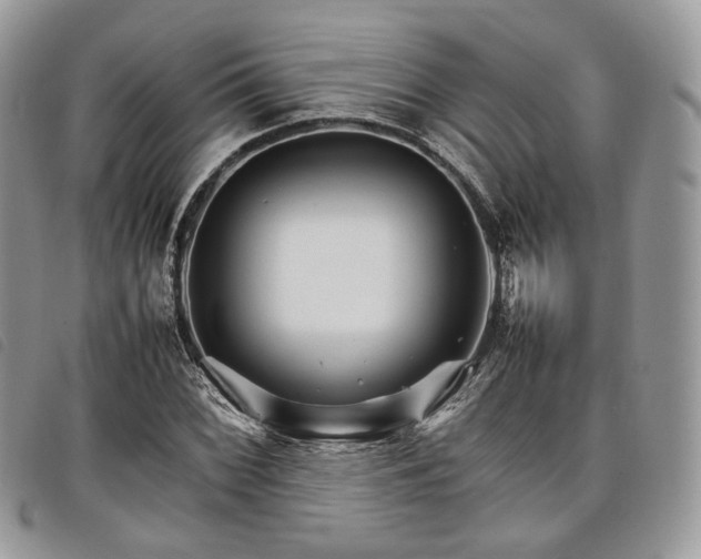 X0000098041068200804071435