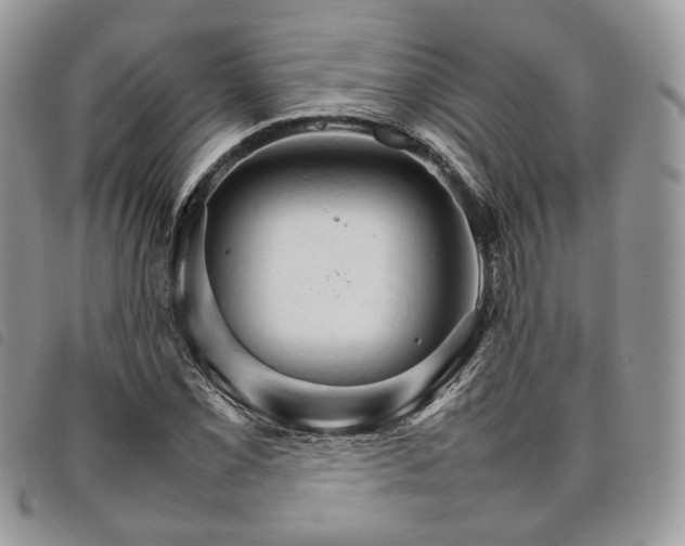 X0000098041069200804071435