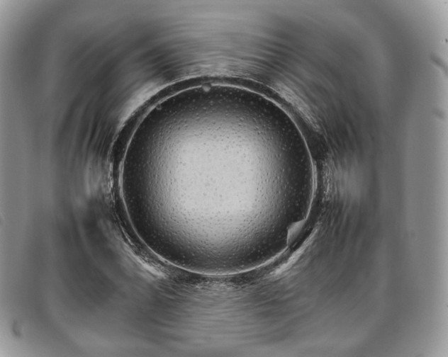 X0000098041070200804071435