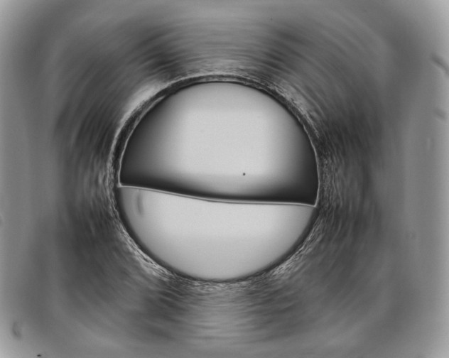 X0000098041072200804071435