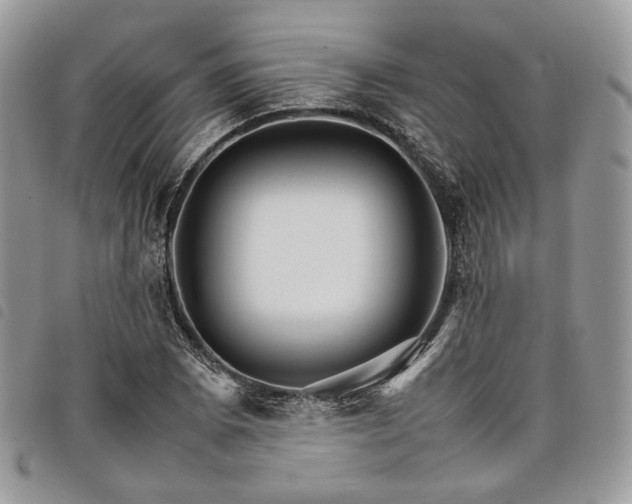 X0000098041073200804071435