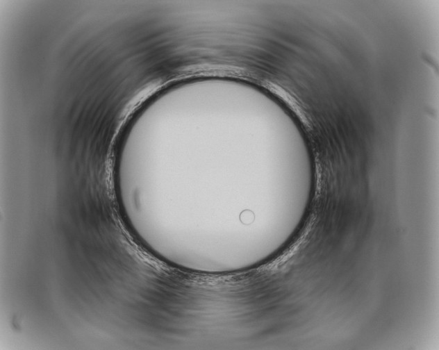 X0000098041074200804071435