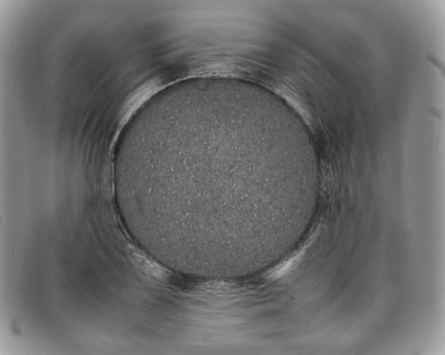 X0000098041075200804071435