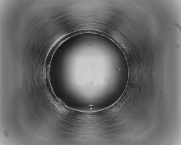 X0000098041076200804071435