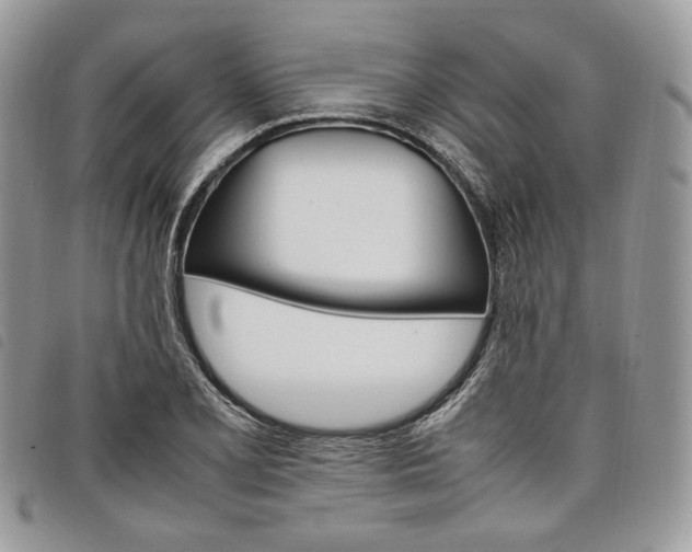 X0000098041077200804071435