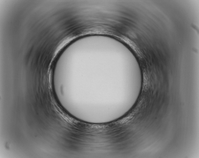 X0000098041078200804071435