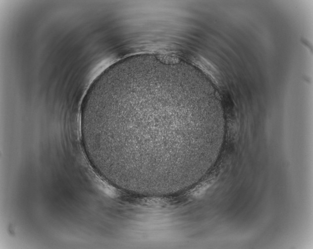 X0000098041079200804071435