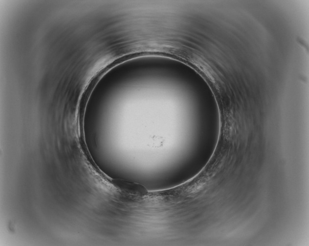 X0000098041080200804071435