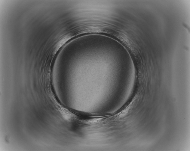 X0000098041081200804071435
