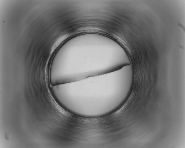X0000098041082200804071435