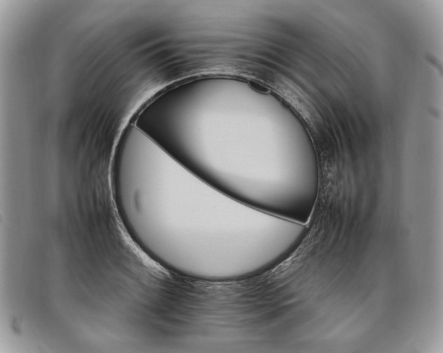 X0000098041084200804071435