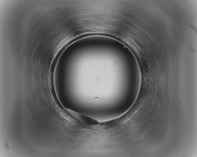 X0000098041085200804071435