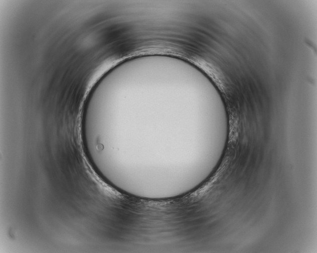 X0000098041086200804071435