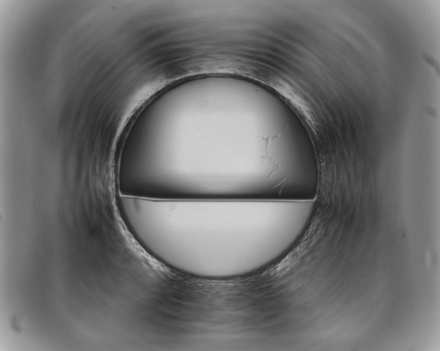 X0000098041088200804071435