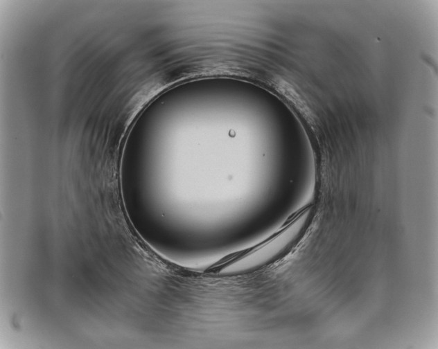 X0000098041089200804071435