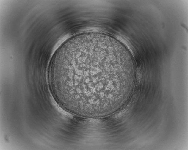 X0000098041090200804071435