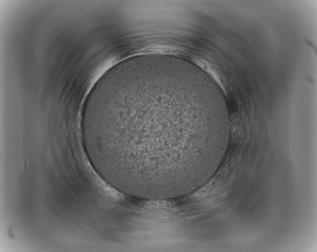 X0000098041091200804071435