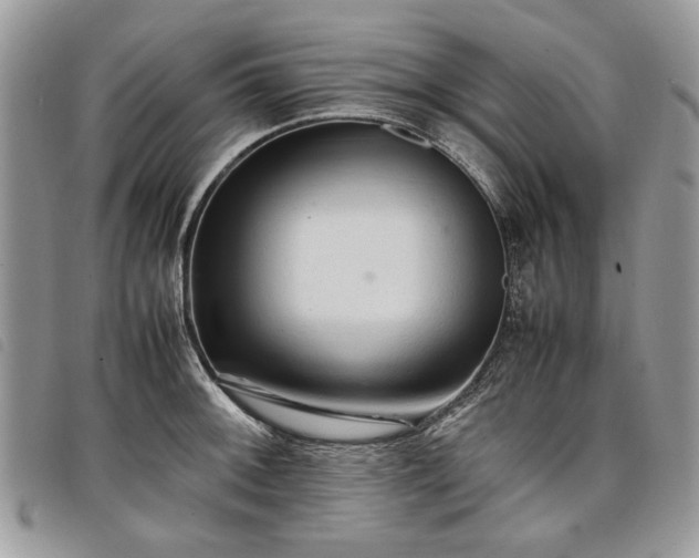 X0000098041092200804071435