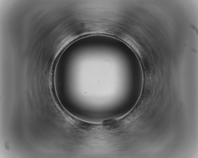 X0000098041093200804071435