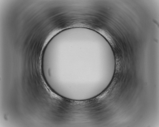 X0000098041094200804071435
