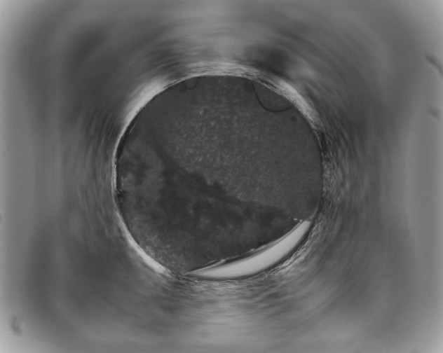X0000098041095200804071435