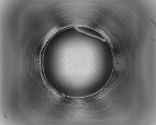X0000098041096200804071435