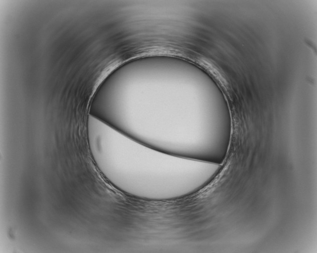 X0000098041097200804071435