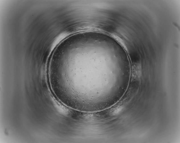 X0000098041098200804071435
