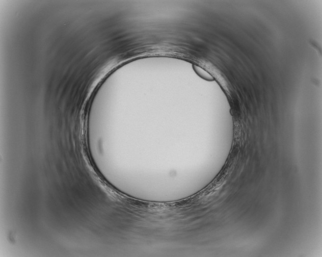 X0000098041099200804071435