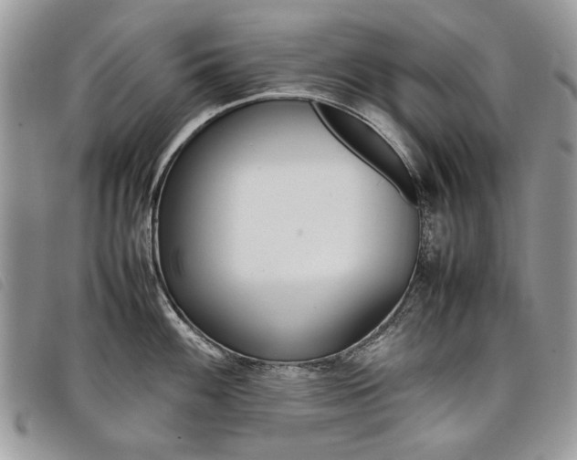 X0000098041100200804071435