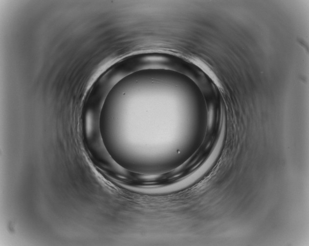 X0000098041101200804071435
