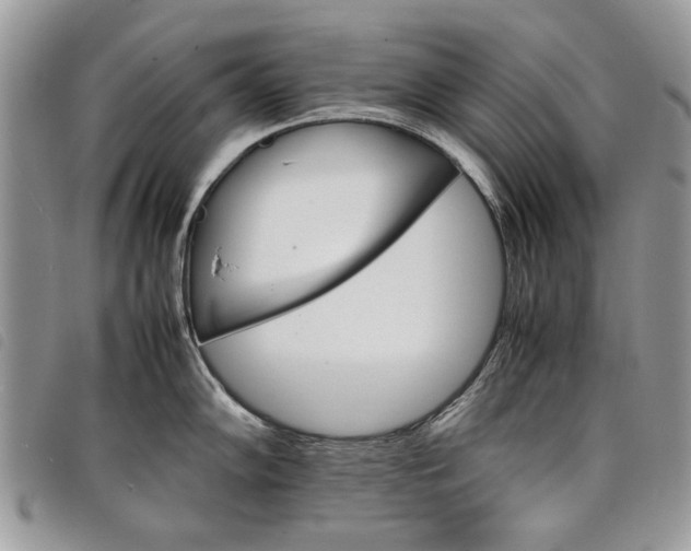 X0000098041102200804071435
