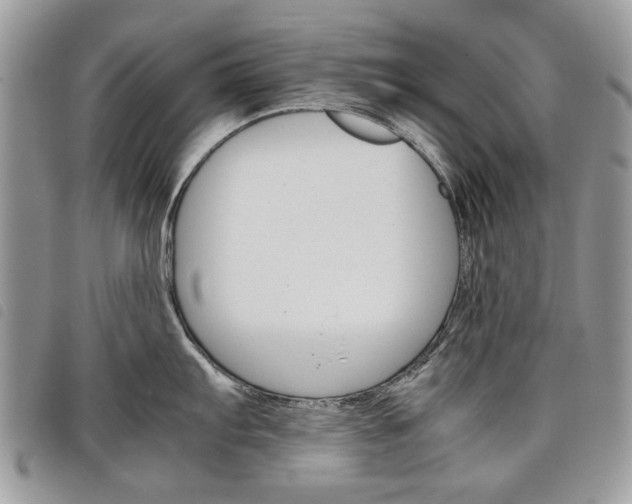 X0000098041103200804071435