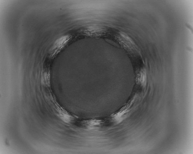 X0000098041108200804071434