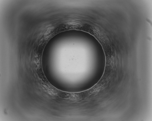 X0000098041109200804071434