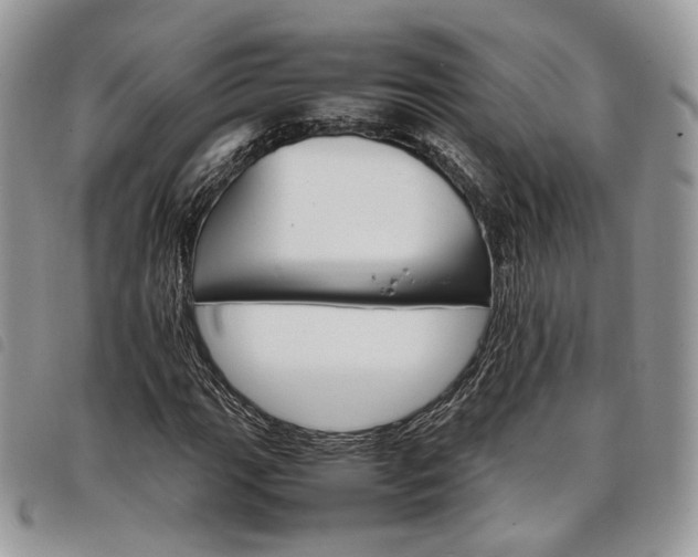 X0000098041111200804071434