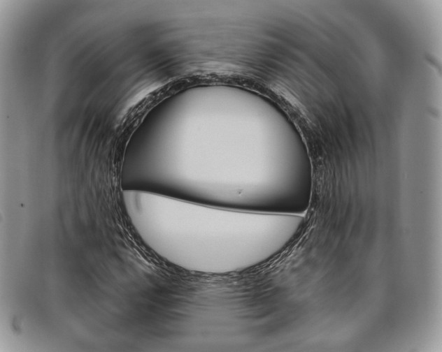X0000098041112200804071434