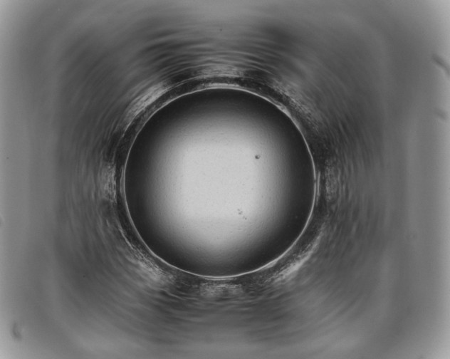 X0000098041113200804071434