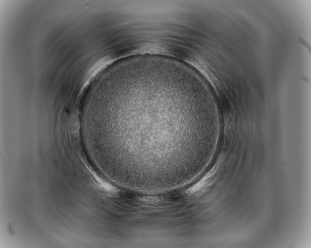 X0000098041115200804071434