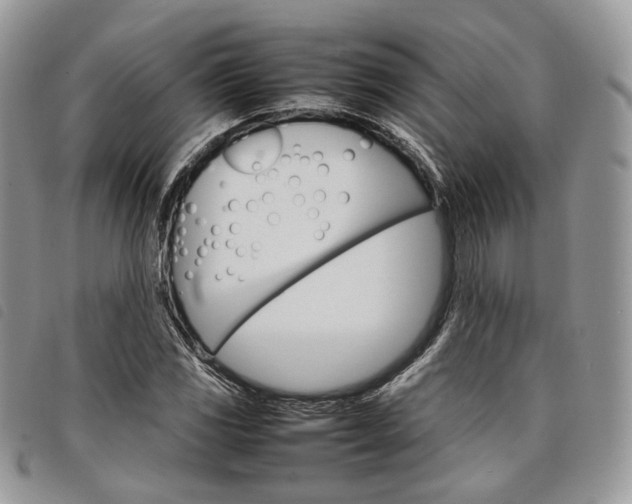 X0000098041117200804071434