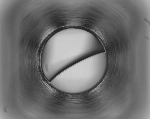 X0000098041119200804071434