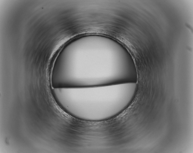 X0000098041120200804071434