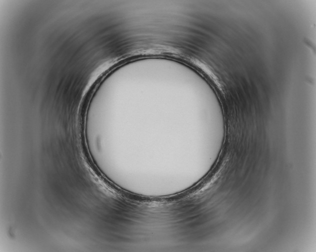 X0000098041122200804071434