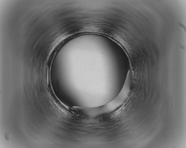 X0000098041123200804071434